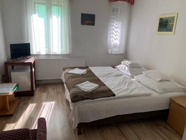 Sebesviz Panzio Bed & Breakfast Repashuta ภายนอก รูปภาพ
