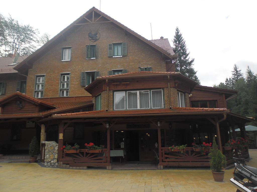 Sebesviz Panzio Bed & Breakfast Repashuta ห้อง รูปภาพ