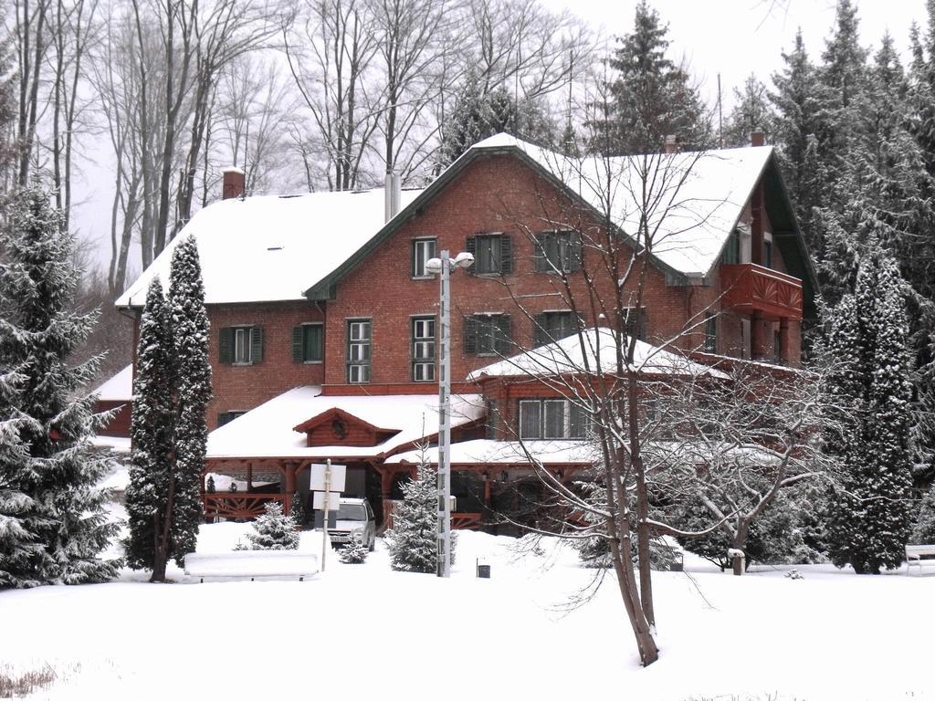 Sebesviz Panzio Bed & Breakfast Repashuta ภายนอก รูปภาพ