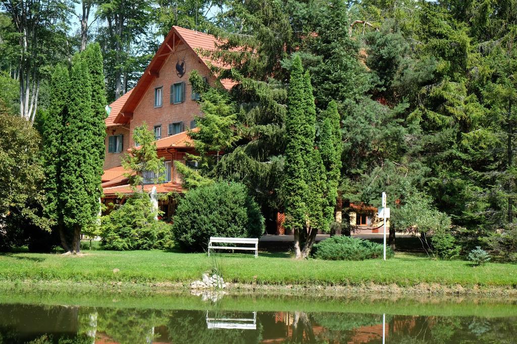 Sebesviz Panzio Bed & Breakfast Repashuta ภายนอก รูปภาพ
